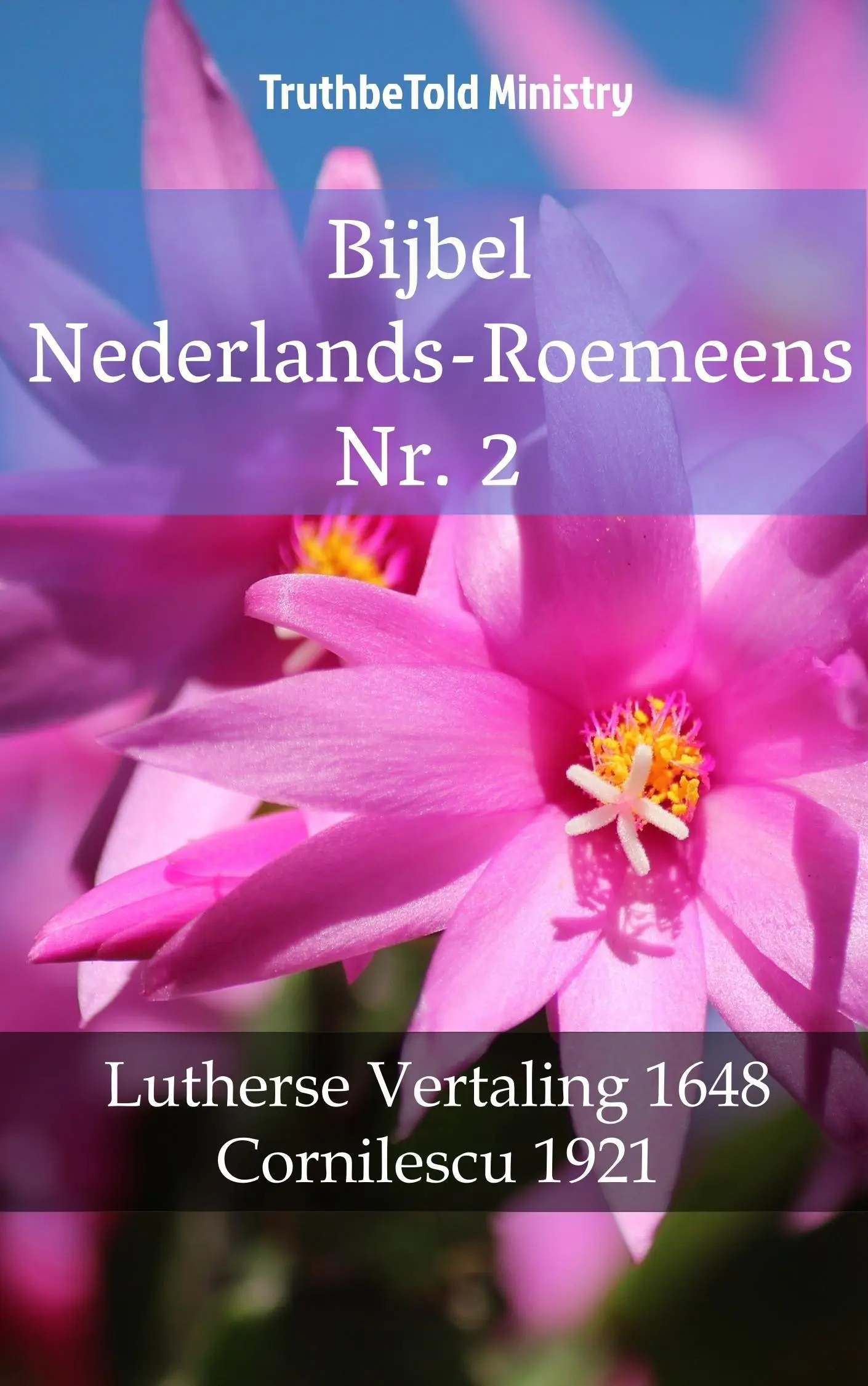 Bijbel Nederlands-Roemeens Nr. 2