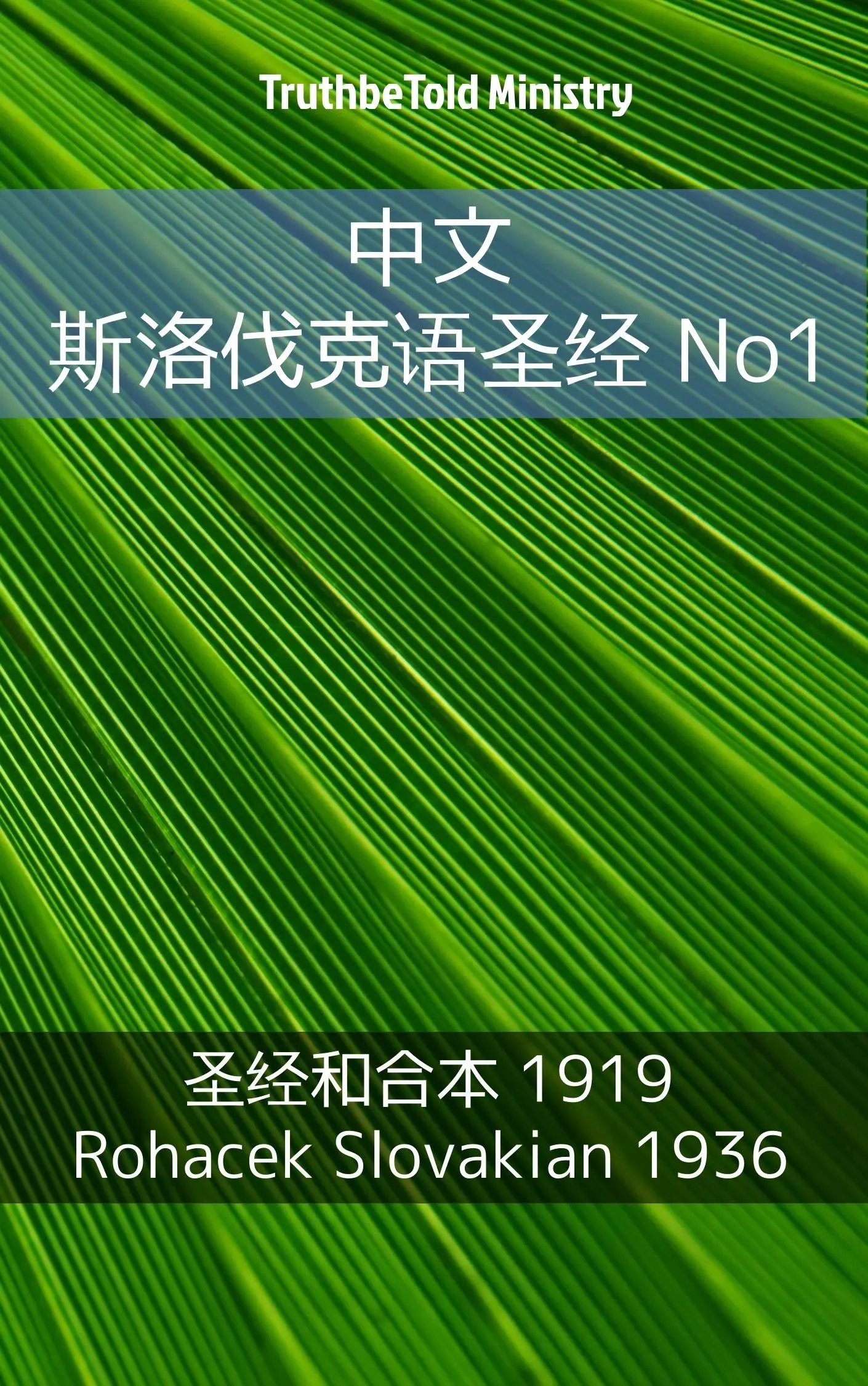 中文 斯洛伐克语圣经 No1