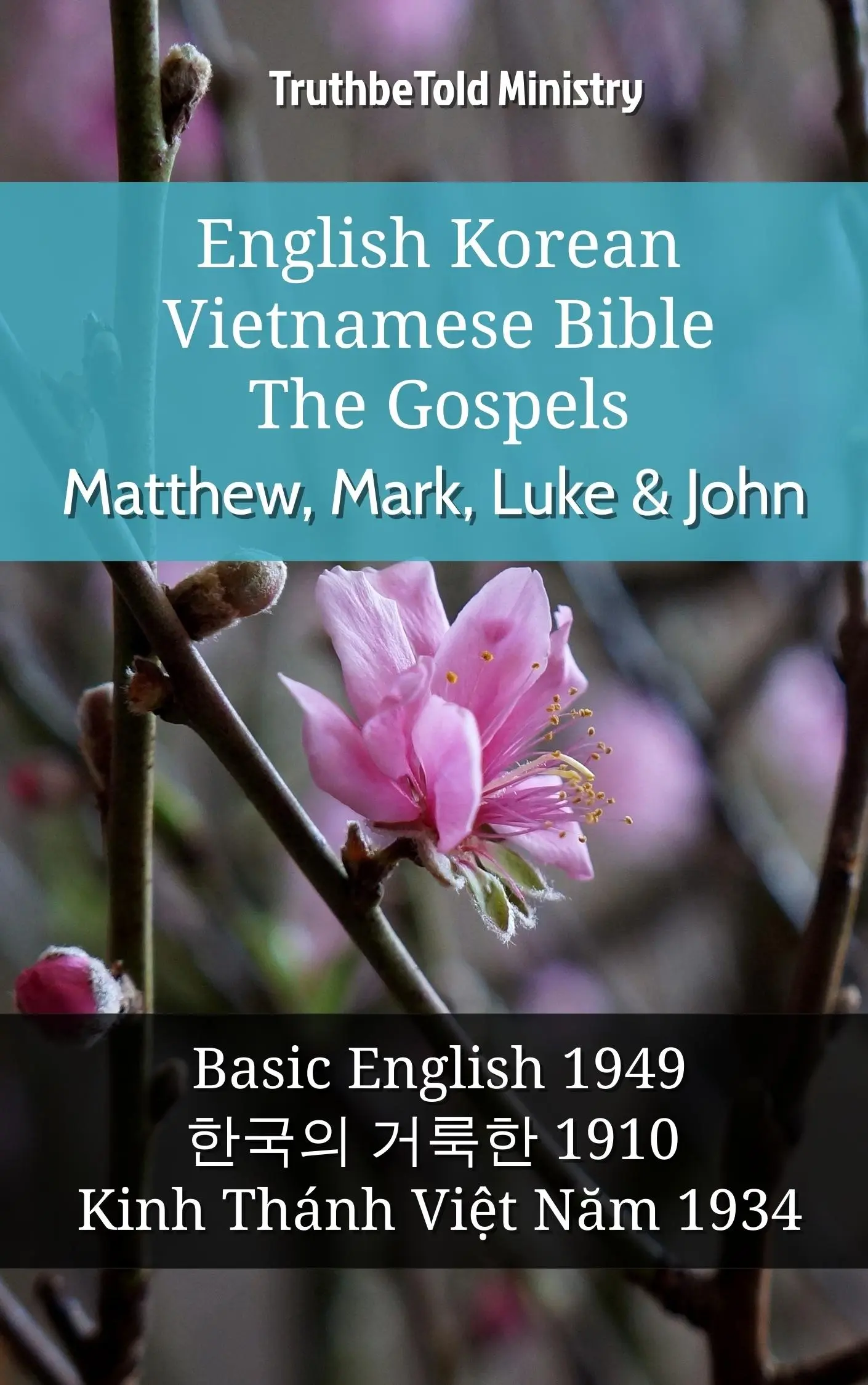 English Korean Vietnamese Bible - The Gospels - Matthew, Mark, Luke & John