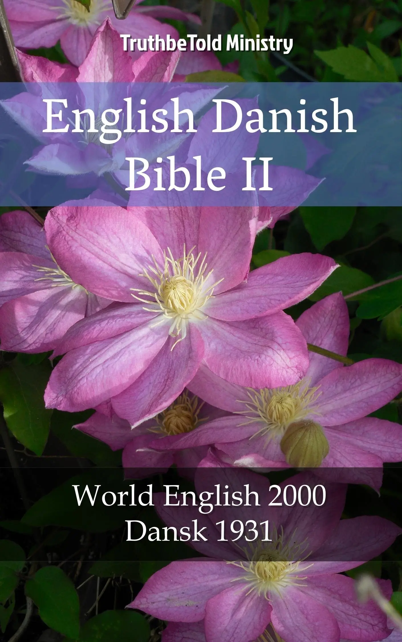 English Danish Bible II