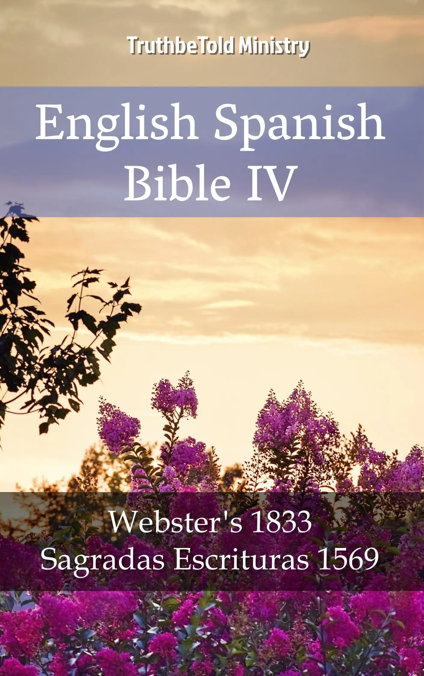 English Spanish Bible IV