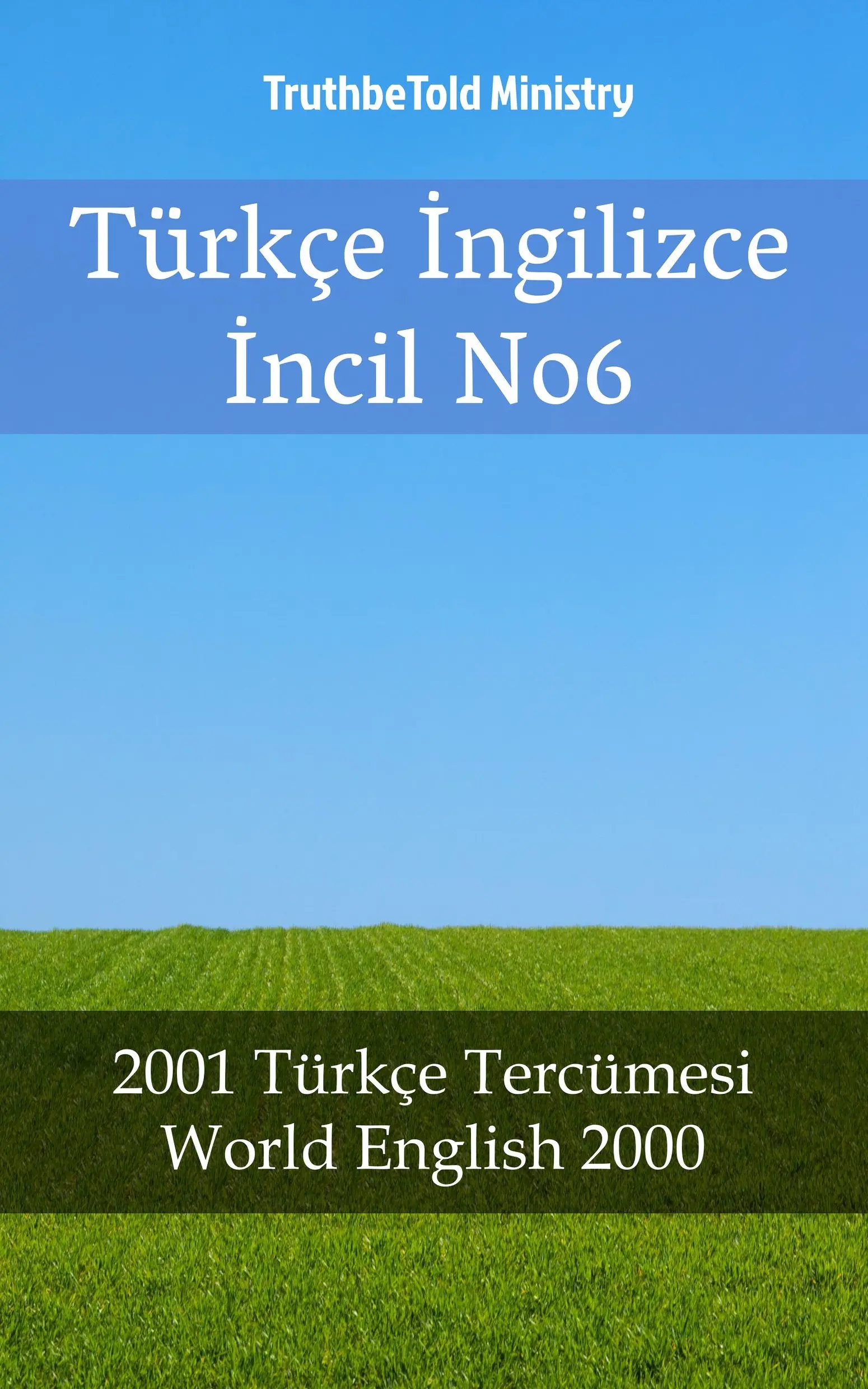 Türkçe İngilizce İncil No6