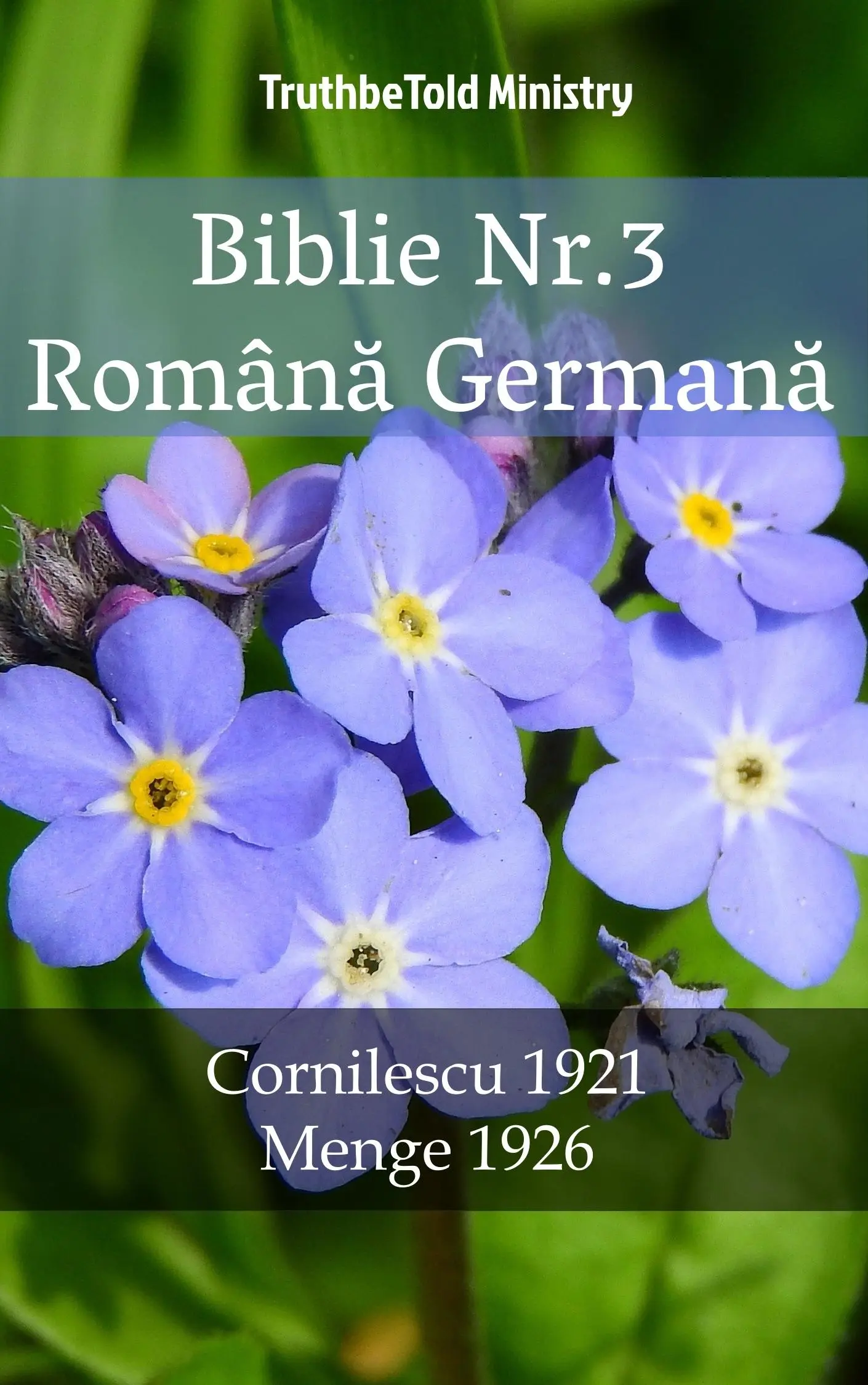Biblie Nr.3 Română Germană