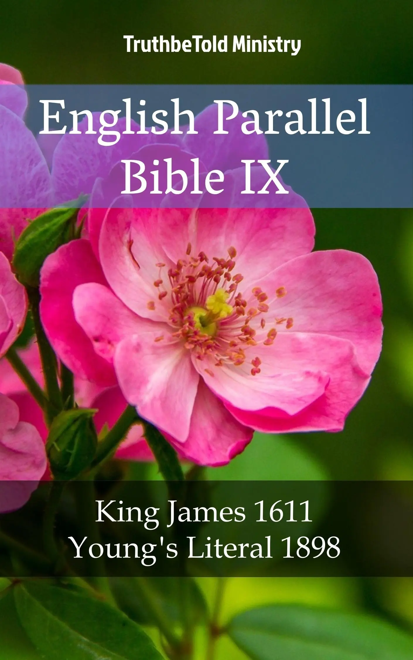 English Parallel Bible IX