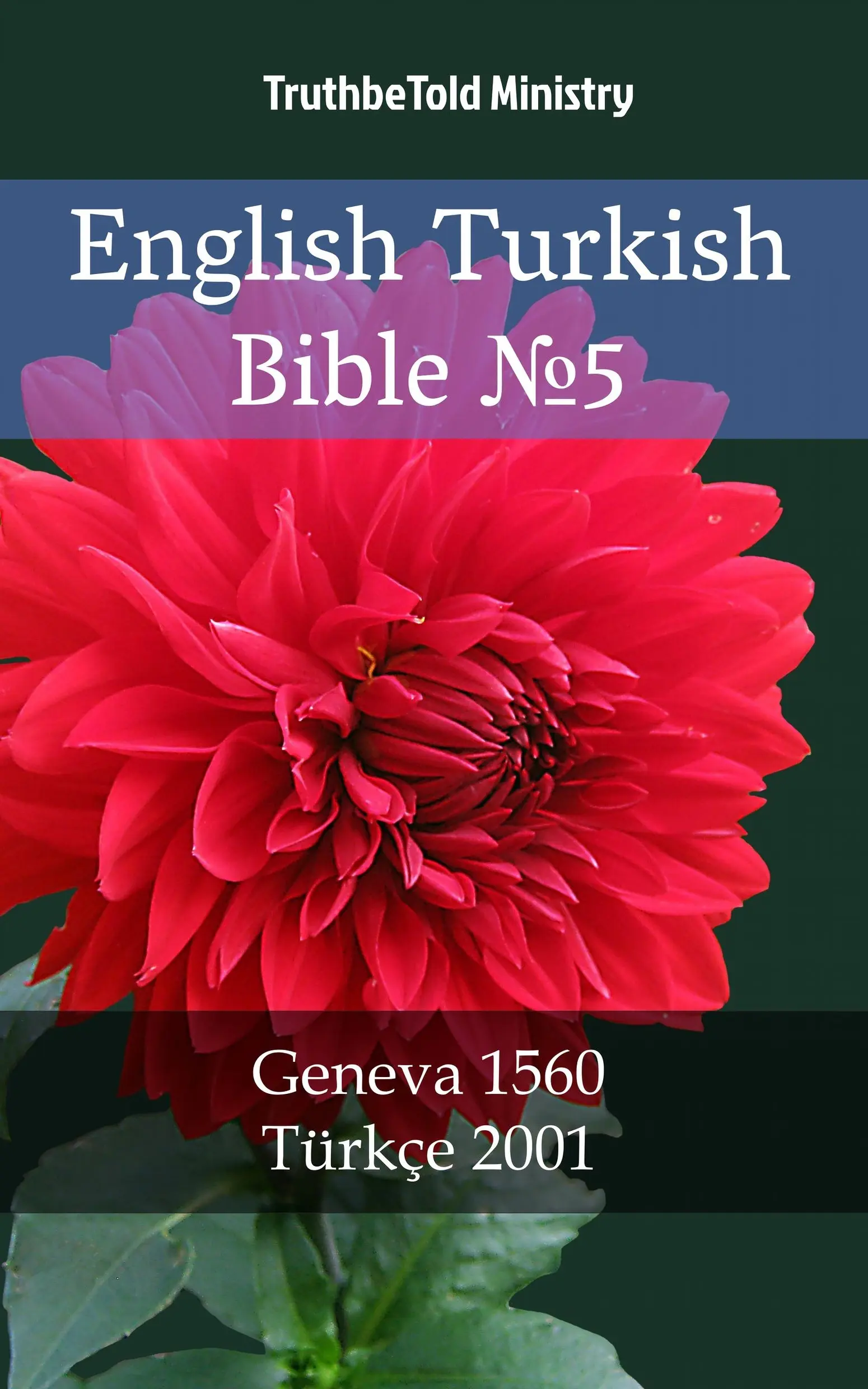 English Turkish Bible №5