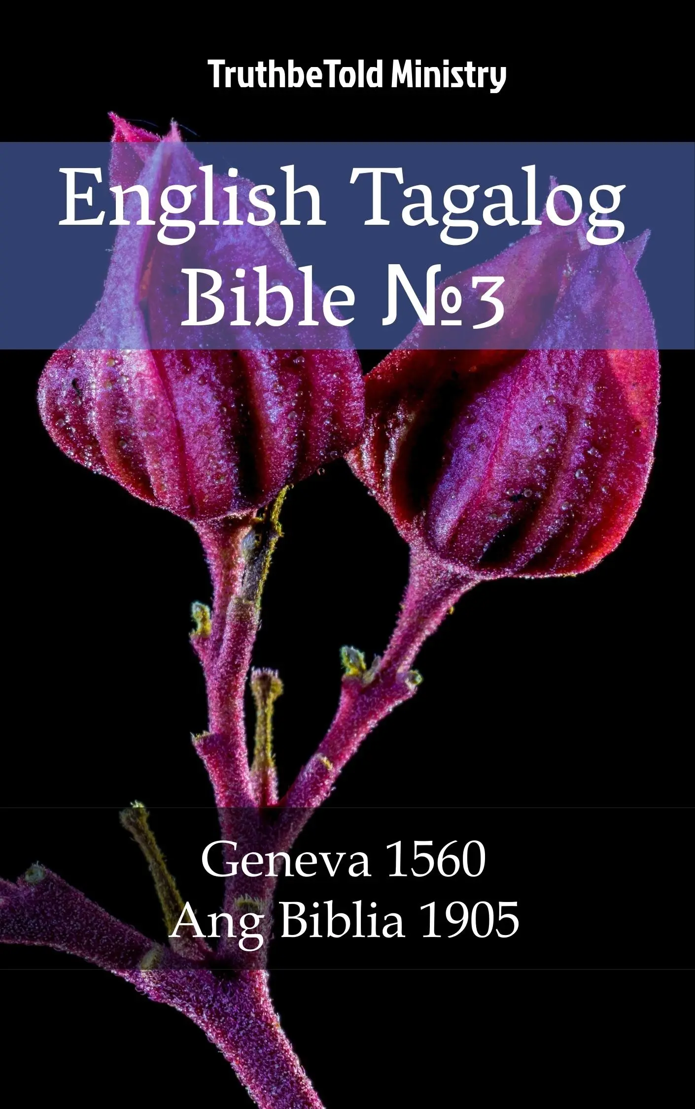 English Tagalog Bible №3