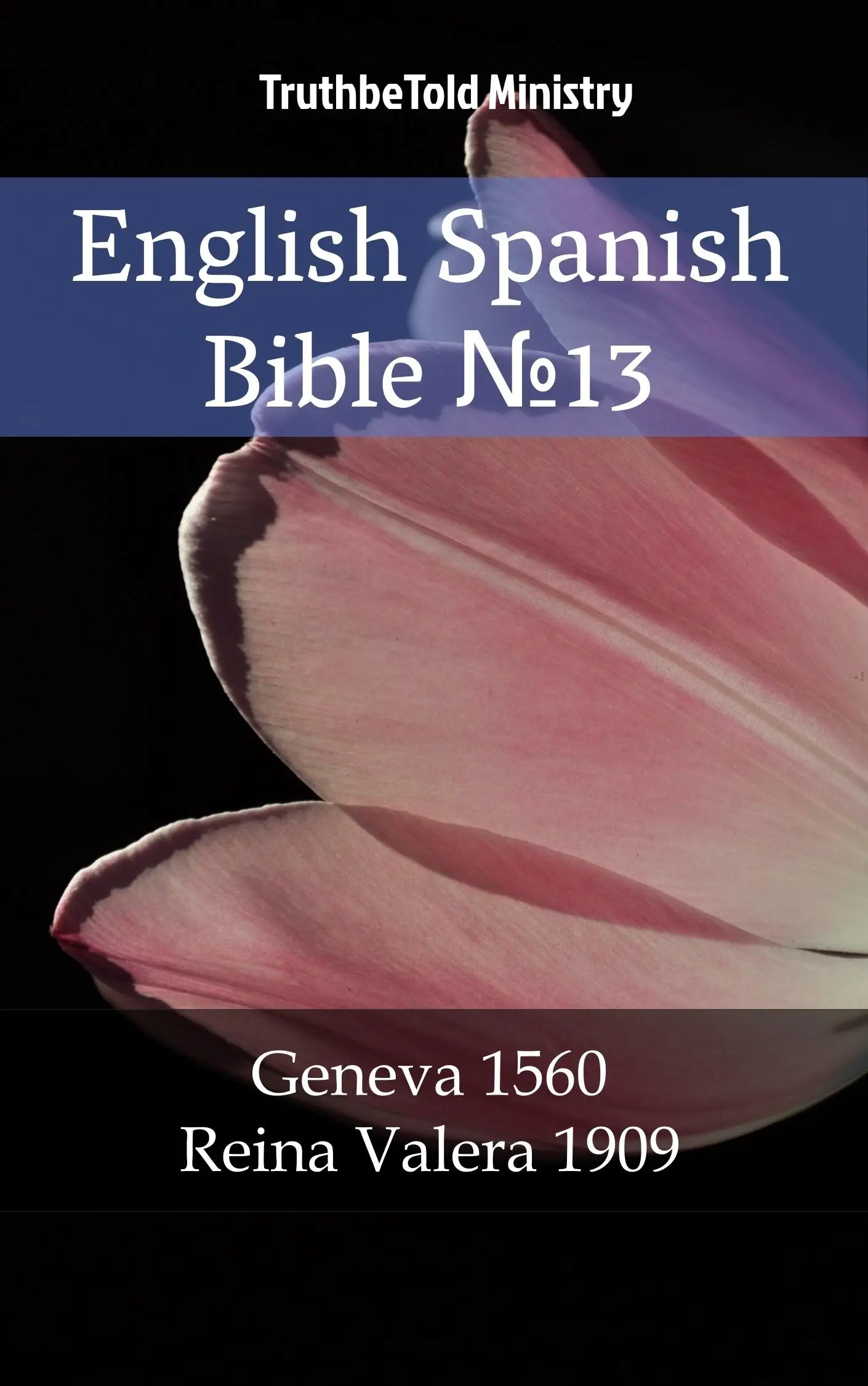 English Spanish Bible №13