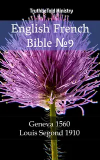 English French Bible №9