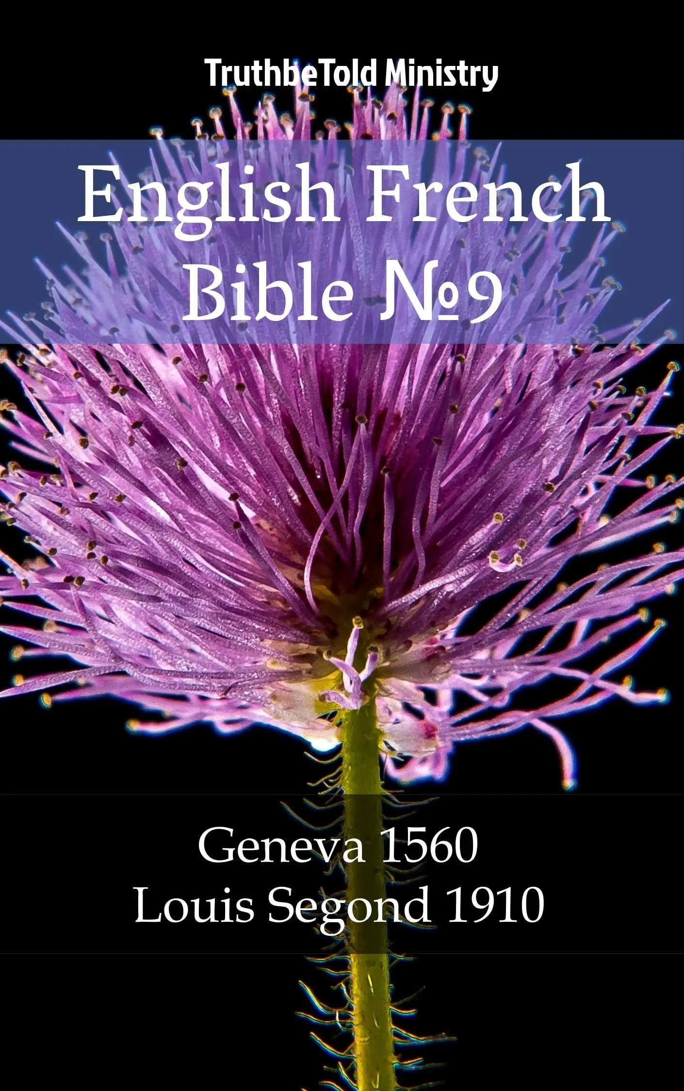 English French Bible №9