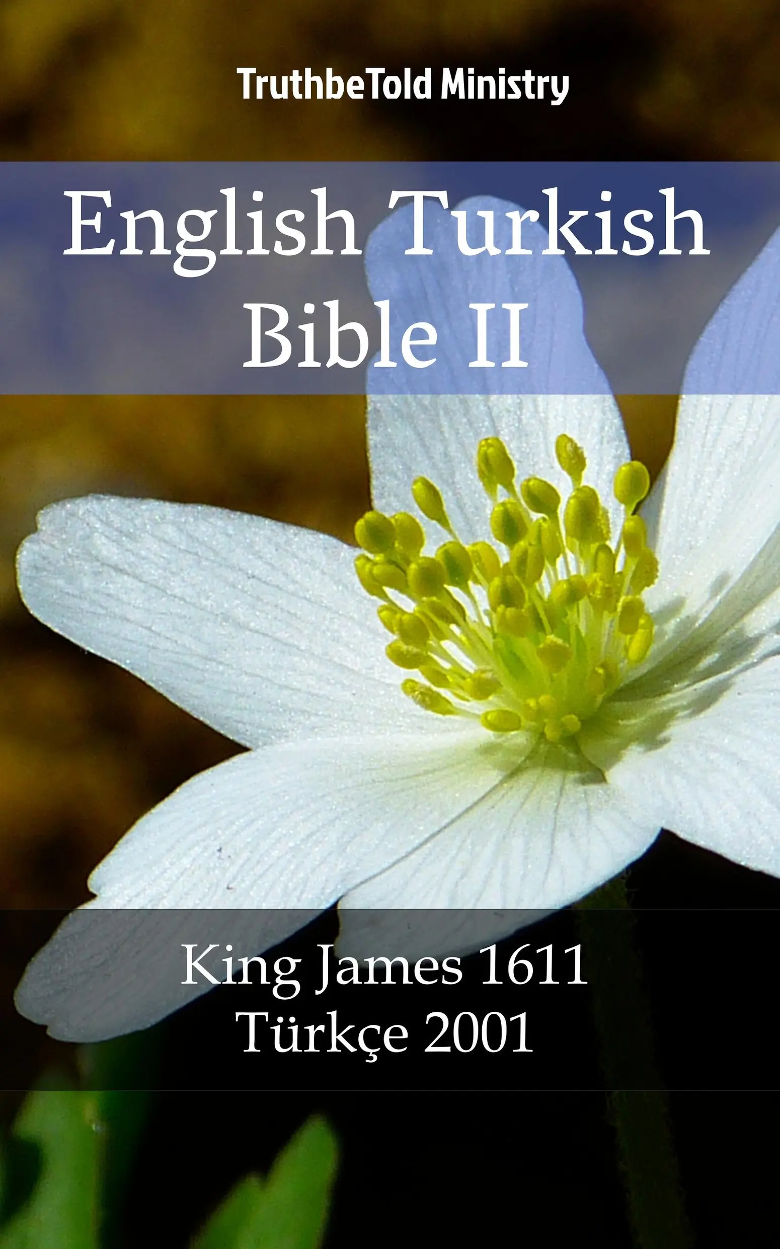 English Turkish Bible II