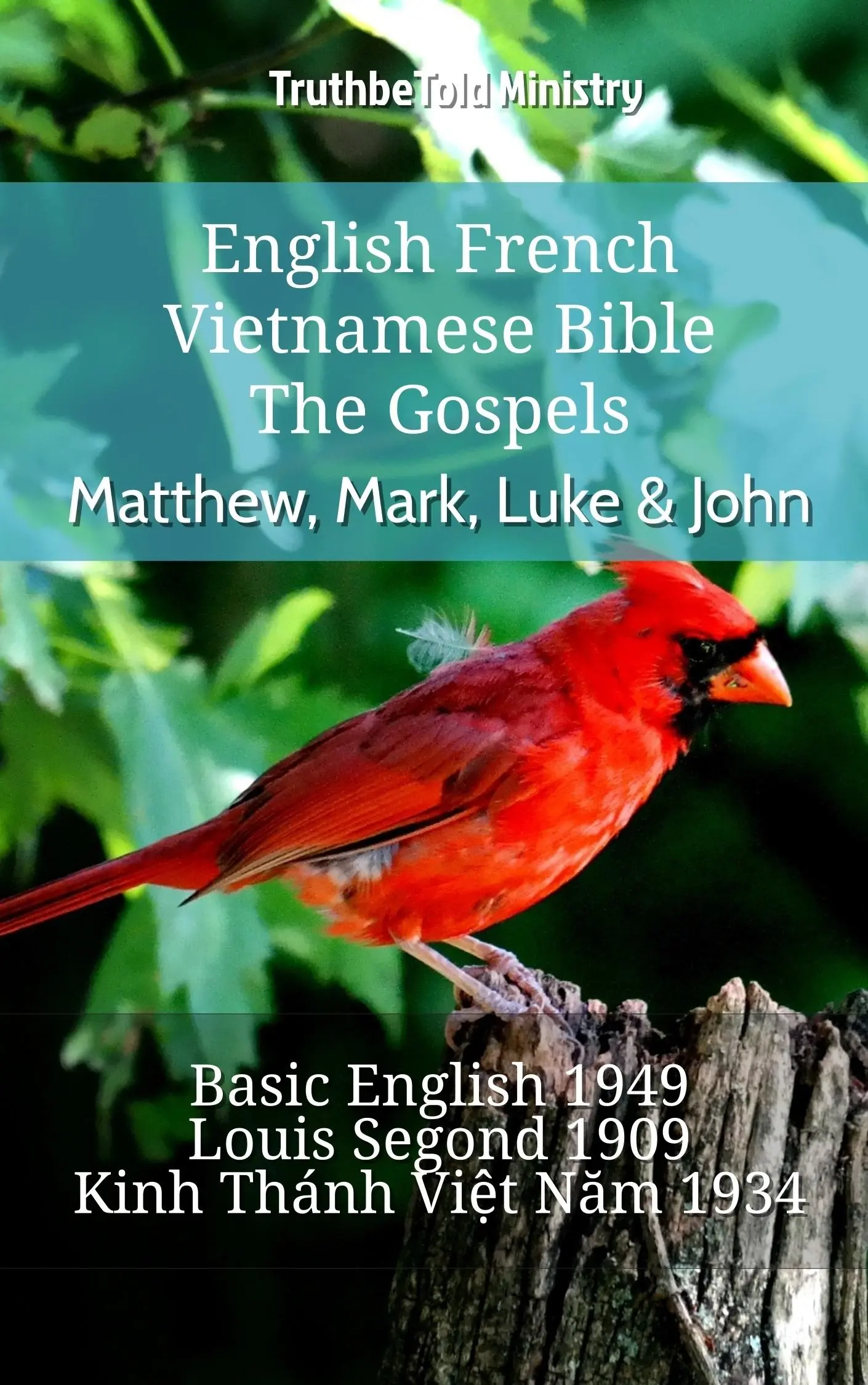 English French Vietnamese Bible - The Gospels - Matthew, Mark, Luke & John