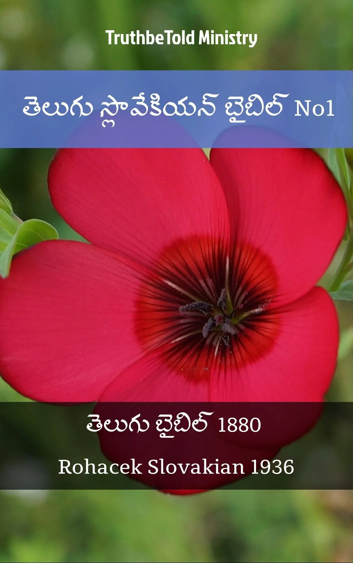 తెలుగు స్లొవేకియన్ బైబిల్