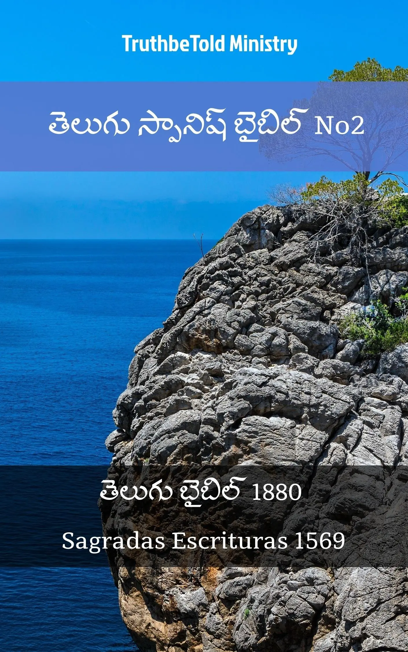 తెలుగు స్పానిష్ బైబిల్ No2