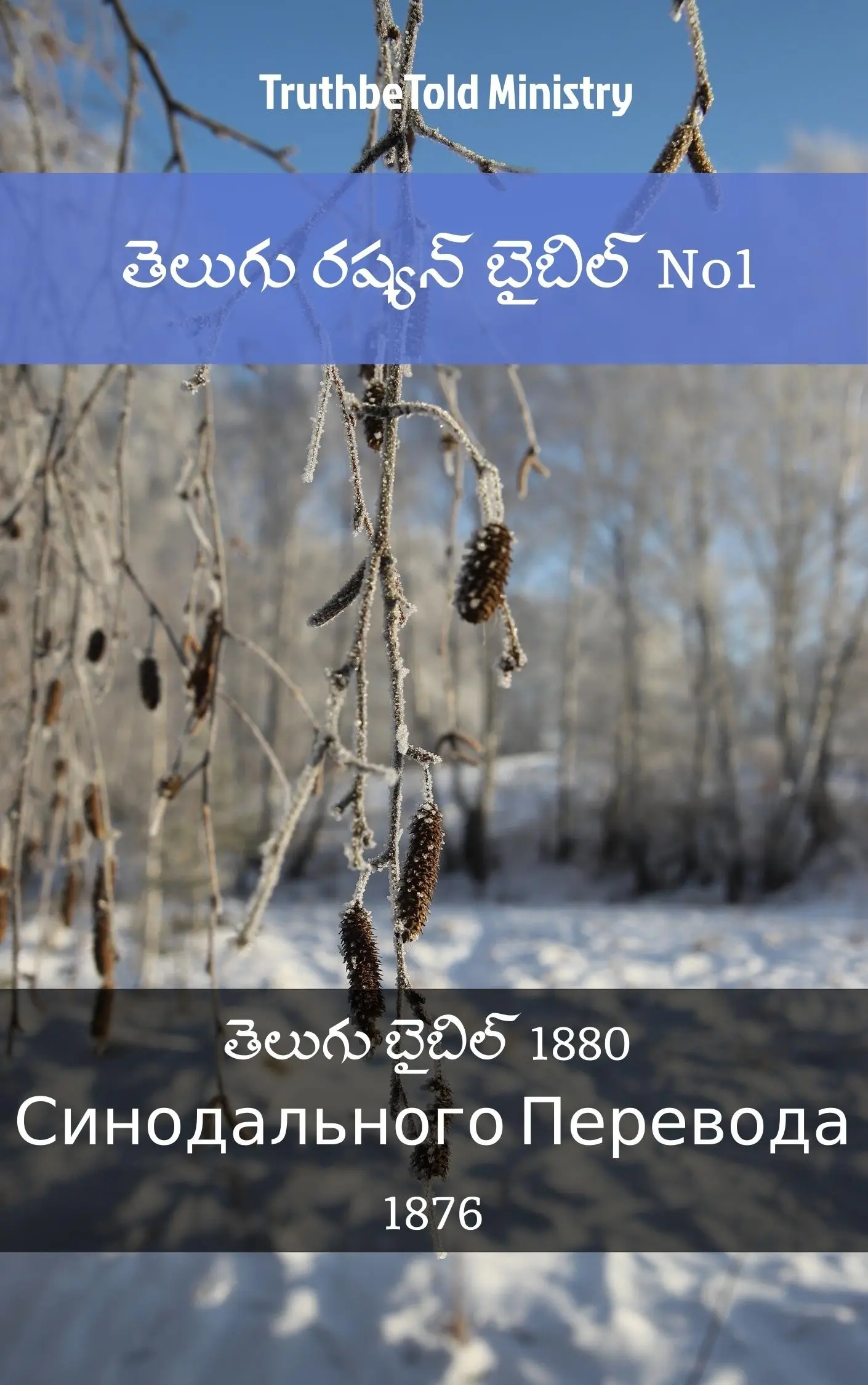 తెలుగు రష్యన్ బైబిల్