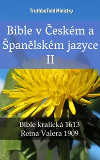 Bible v Českém a Španělském jazyce II