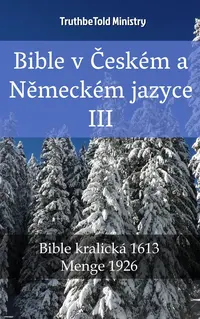 Bible v Českém a Německém jazyce III