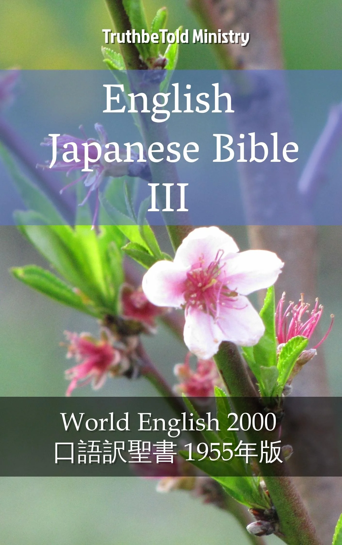 English Japanese Bible III