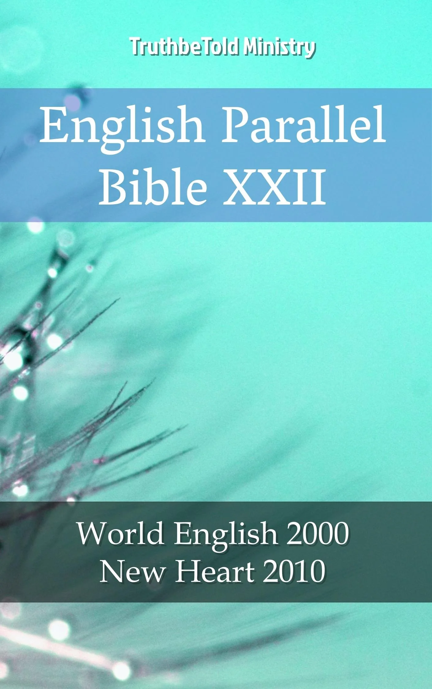 English Parallel Bible XXII