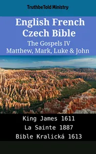 English French Czech Bible - The Gospels IV - Matthew, Mark, Luke & John