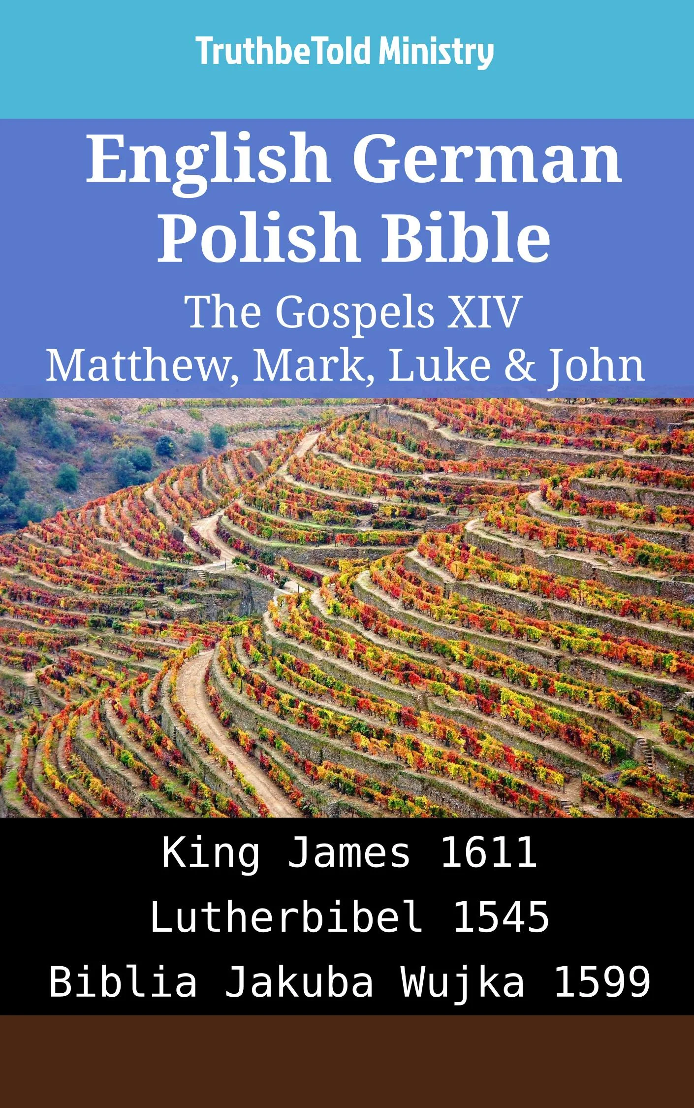 English German Polish Bible - The Gospels XIV - Matthew, Mark, Luke & John