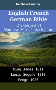 English French German Bible - The Gospels VI - Matthew, Mark, Luke & John
