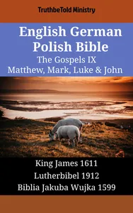 English German Polish Bible - The Gospels IX - Matthew, Mark, Luke & John