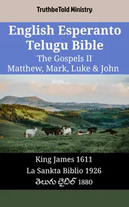 English Esperanto Telugu Bible - The Gospels II - Matthew, Mark, Luke & John