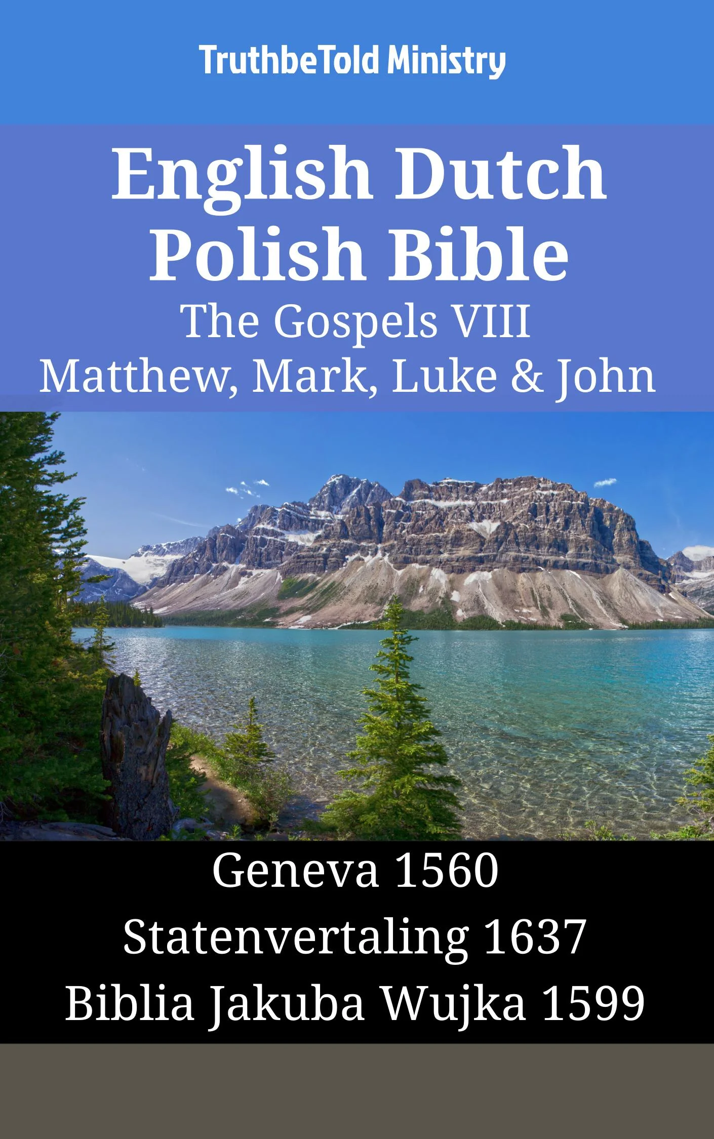 English Dutch Polish Bible - The Gospels VIII - Matthew, Mark, Luke & John