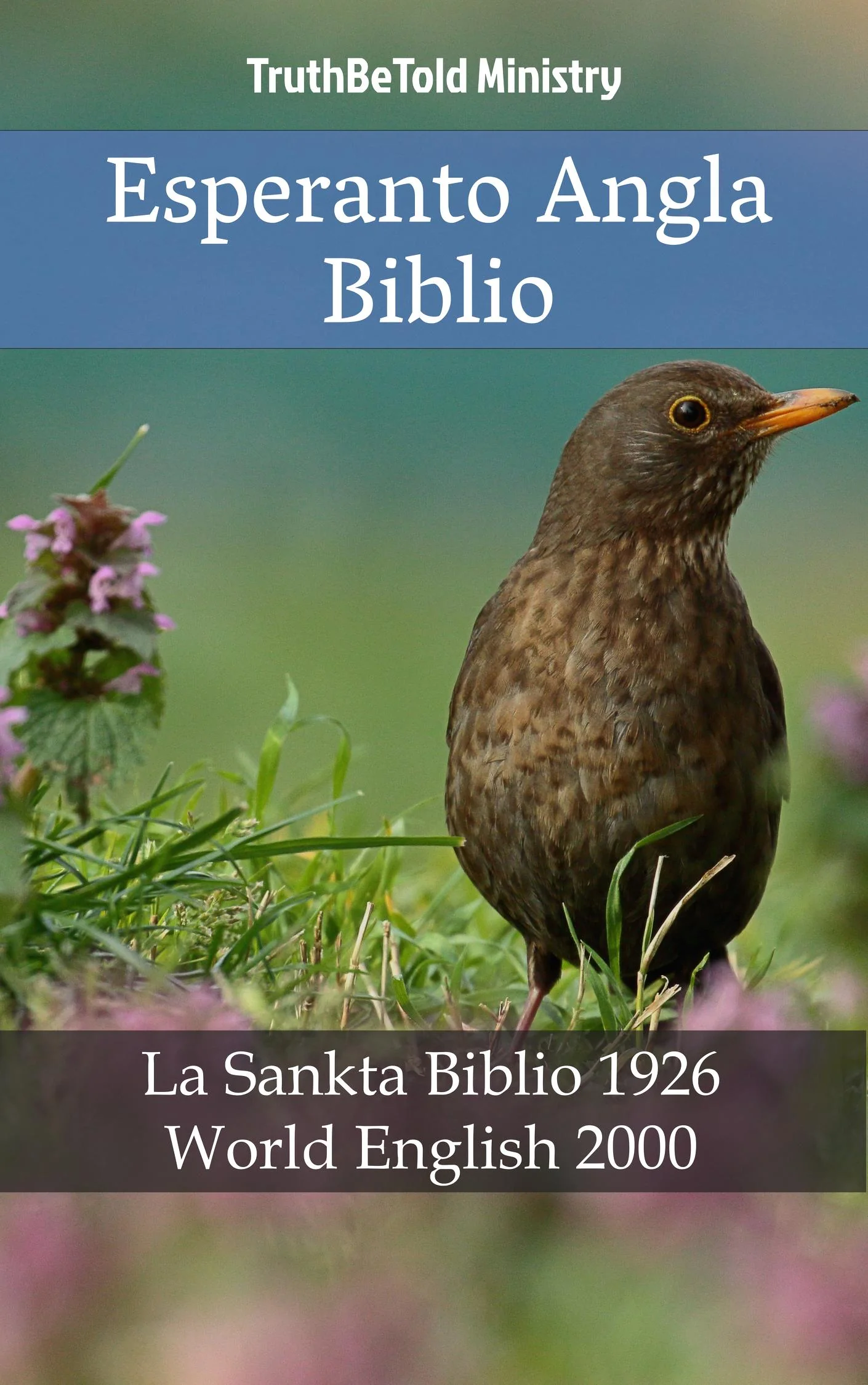 Esperanto Angla Biblio