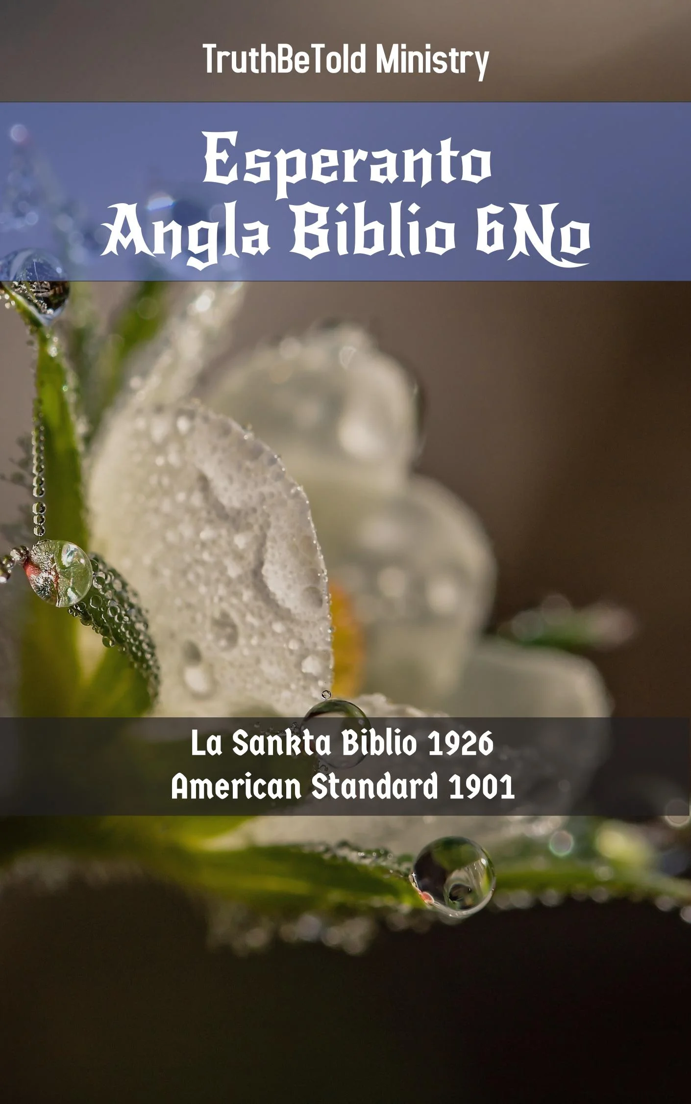 Esperanto Angla Biblio 6No