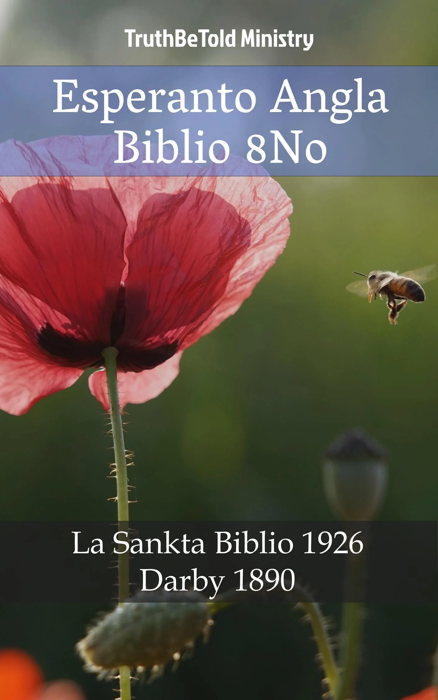Esperanto Angla Biblio 8No