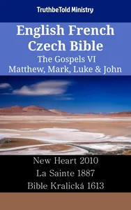 English French Czech Bible - The Gospels VI - Matthew, Mark, Luke & John