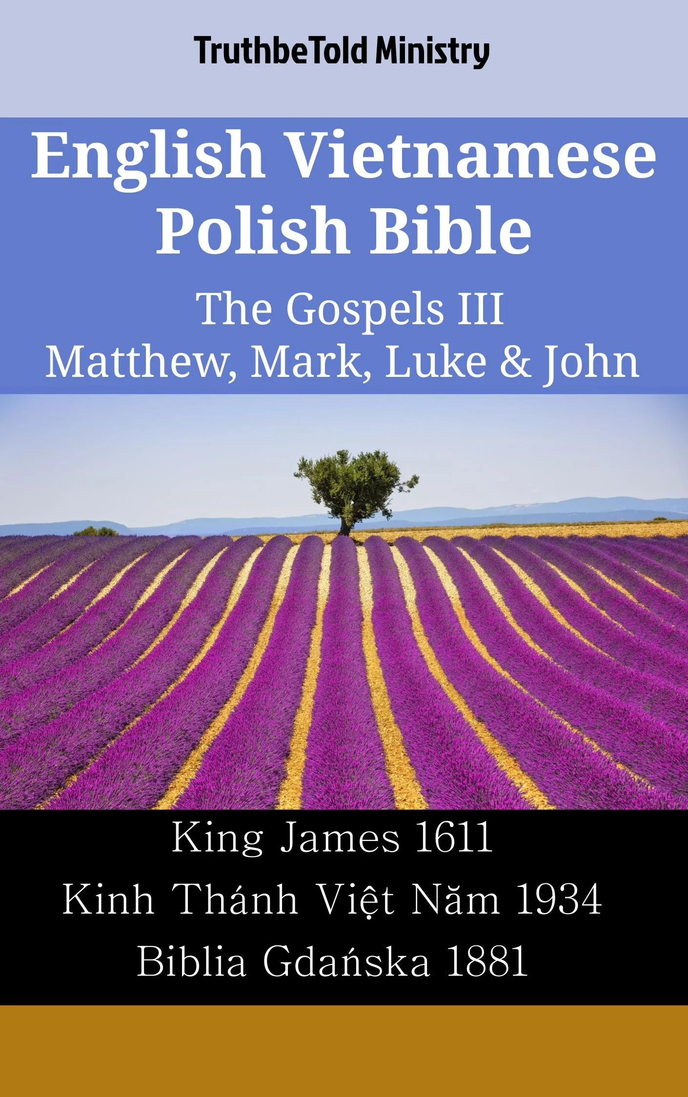 English Vietnamese Polish Bible - The Gospels III - Matthew, Mark, Luke & John