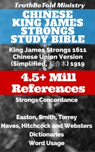 Chinese King James Strongs Study Bible