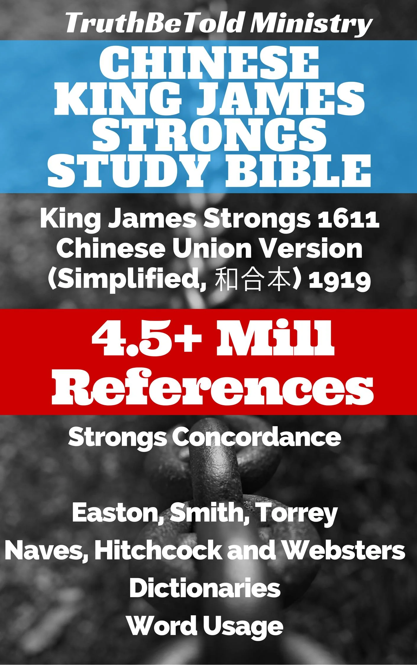 Chinese King James Strongs Study Bible