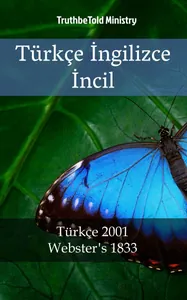 Türk İngilizce İncil