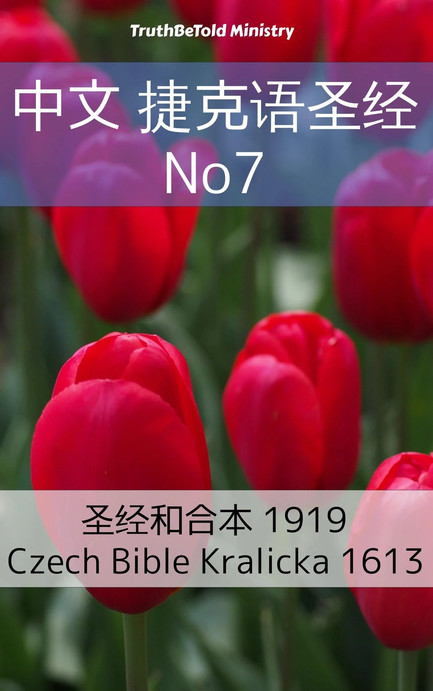 中文 捷克语圣经 No7