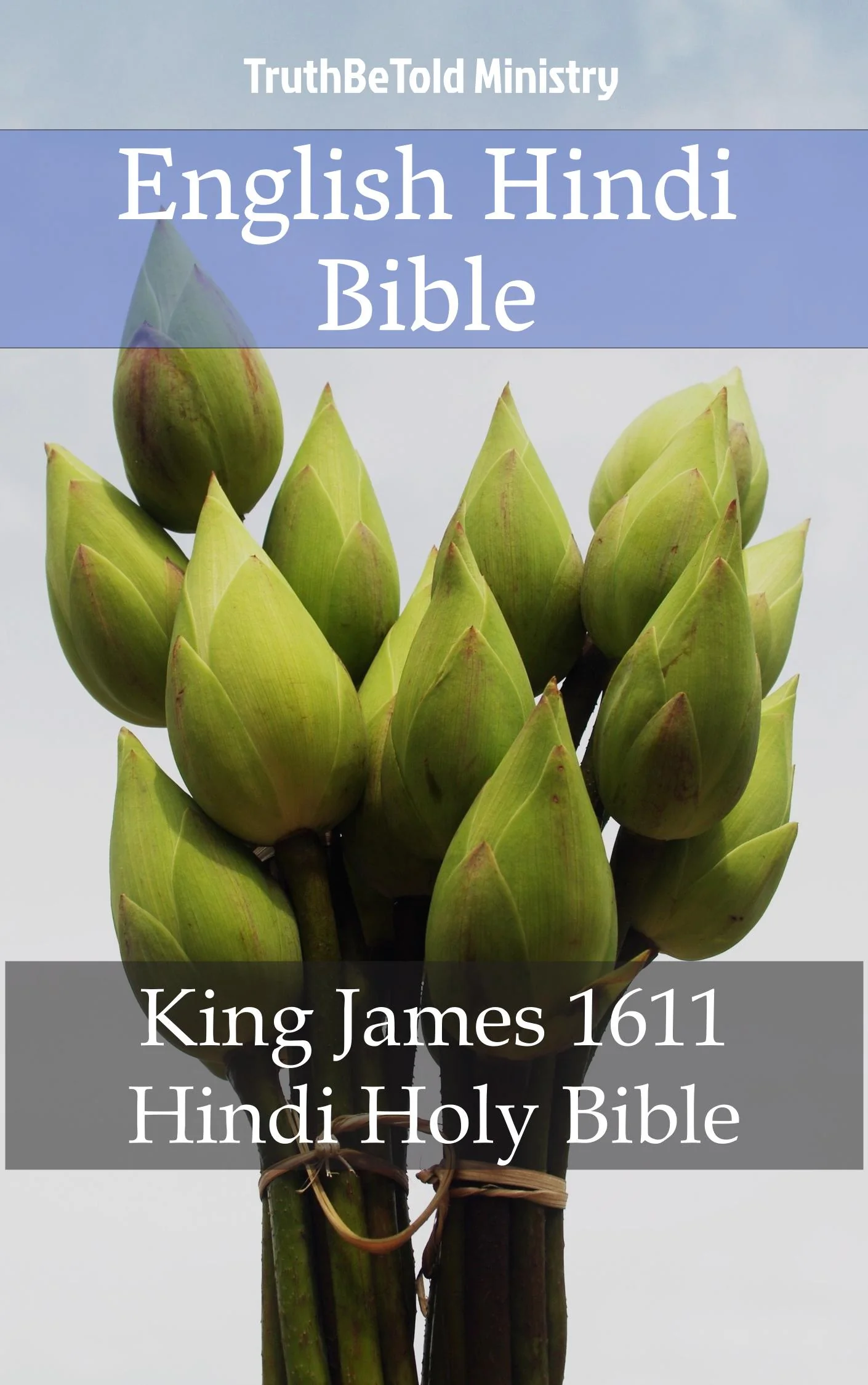 English Hindi Bible