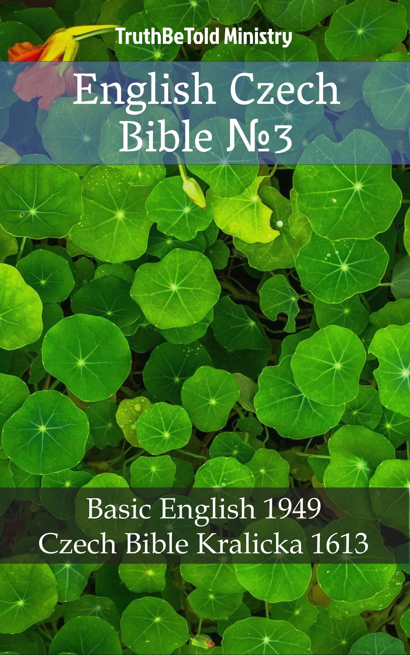 English Czech Bible №3