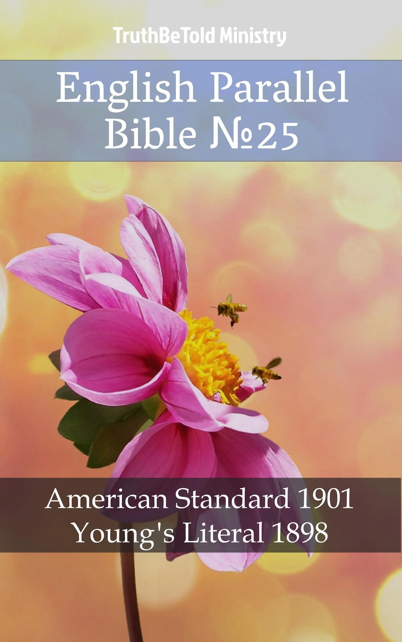 English Parallel Bible No25
