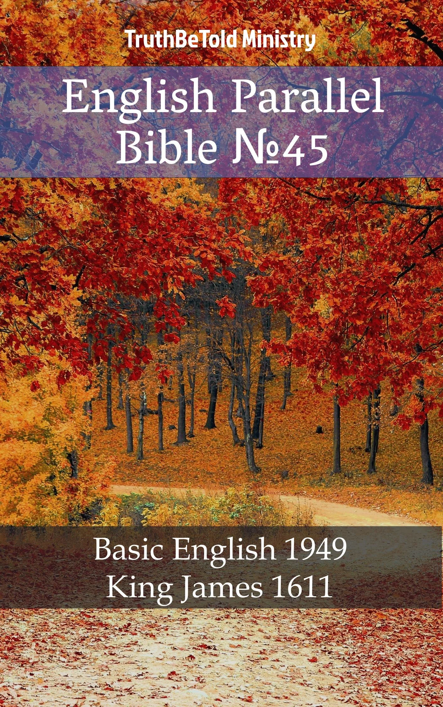 English Parallel Bible No45