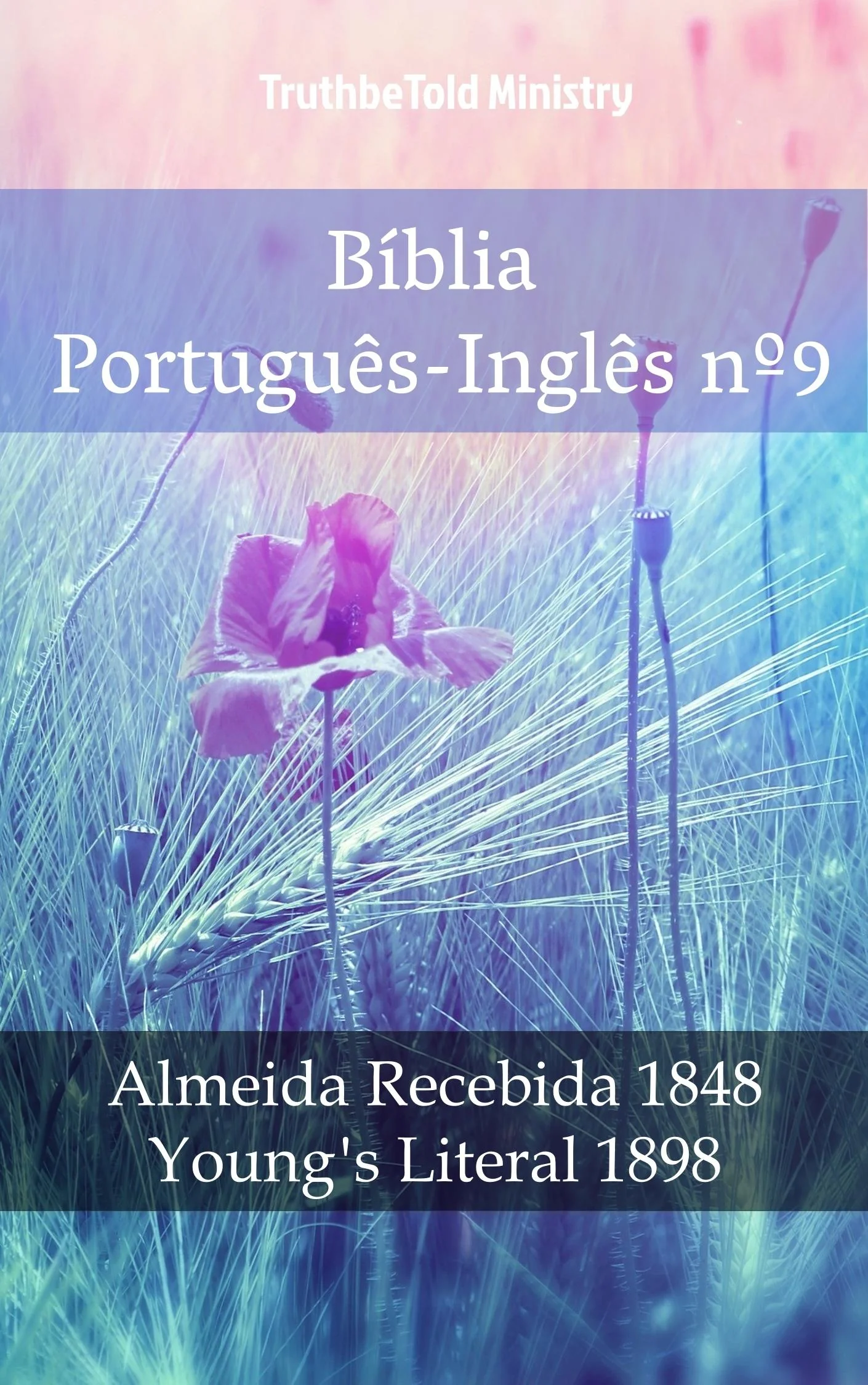 Bíblia Português-Inglês nº9