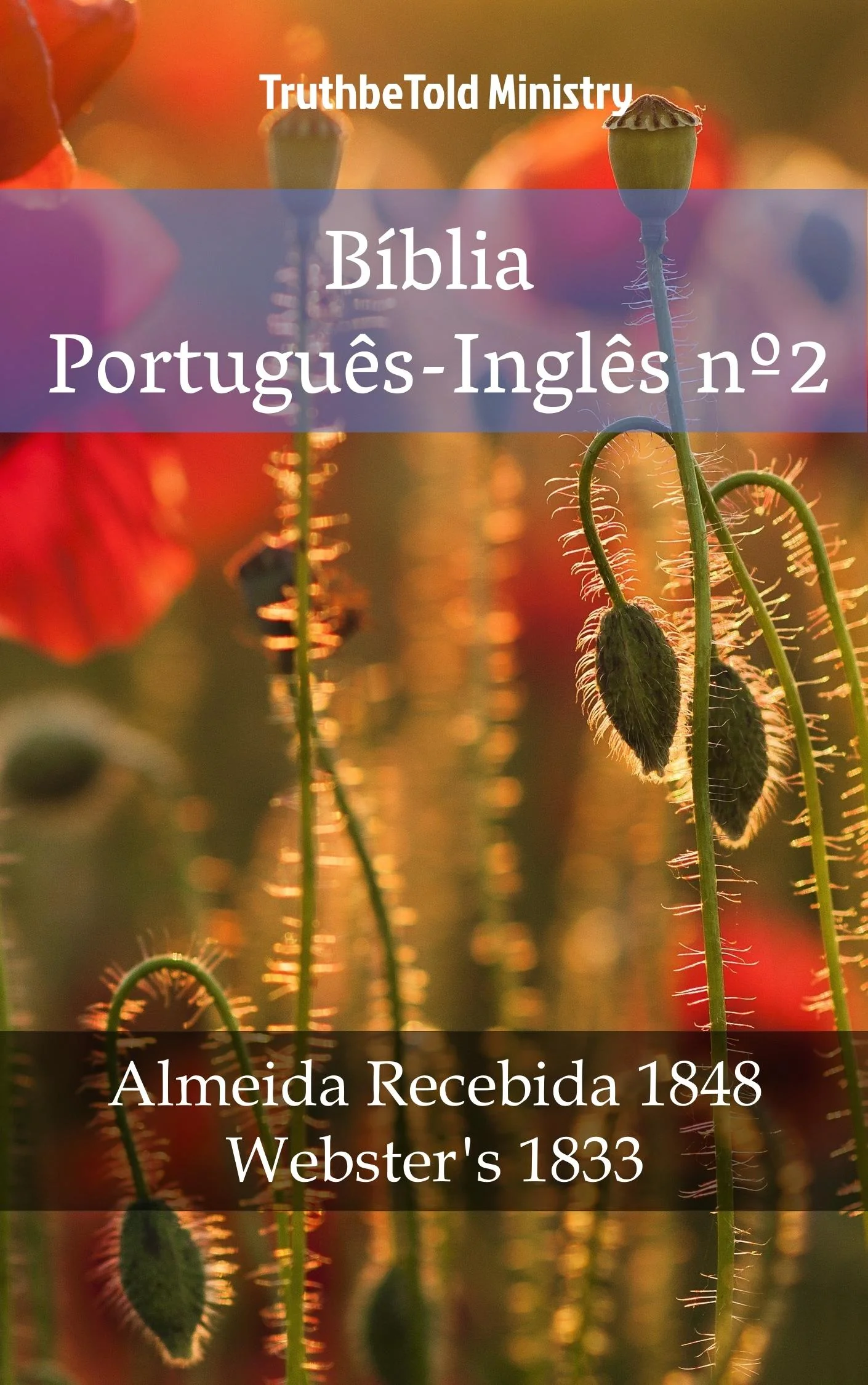 Bíblia Português-Inglês nº2