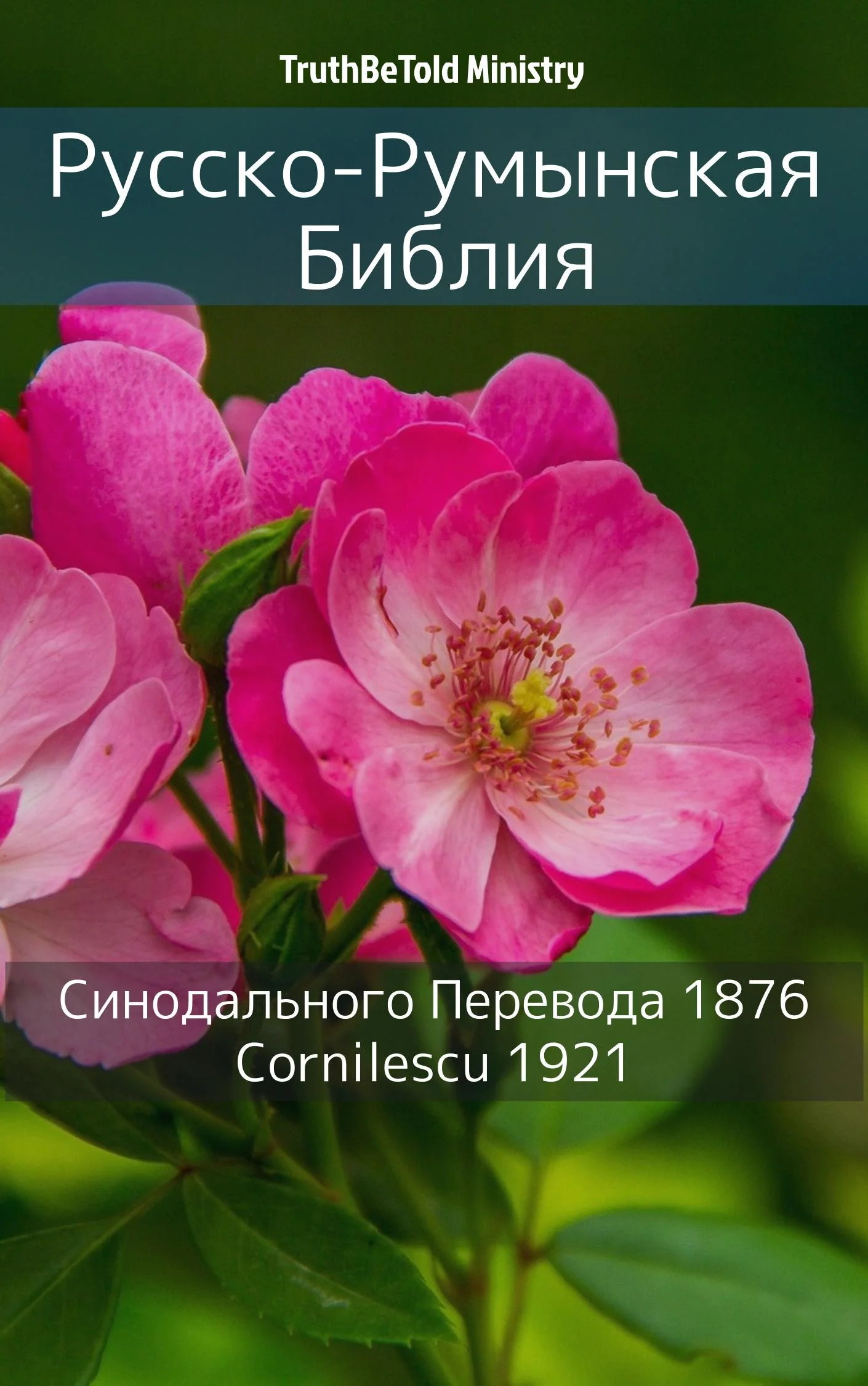 Русско-Румынская Библия