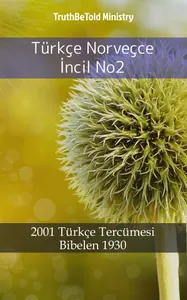 Türkçe Norveçce İncil No2