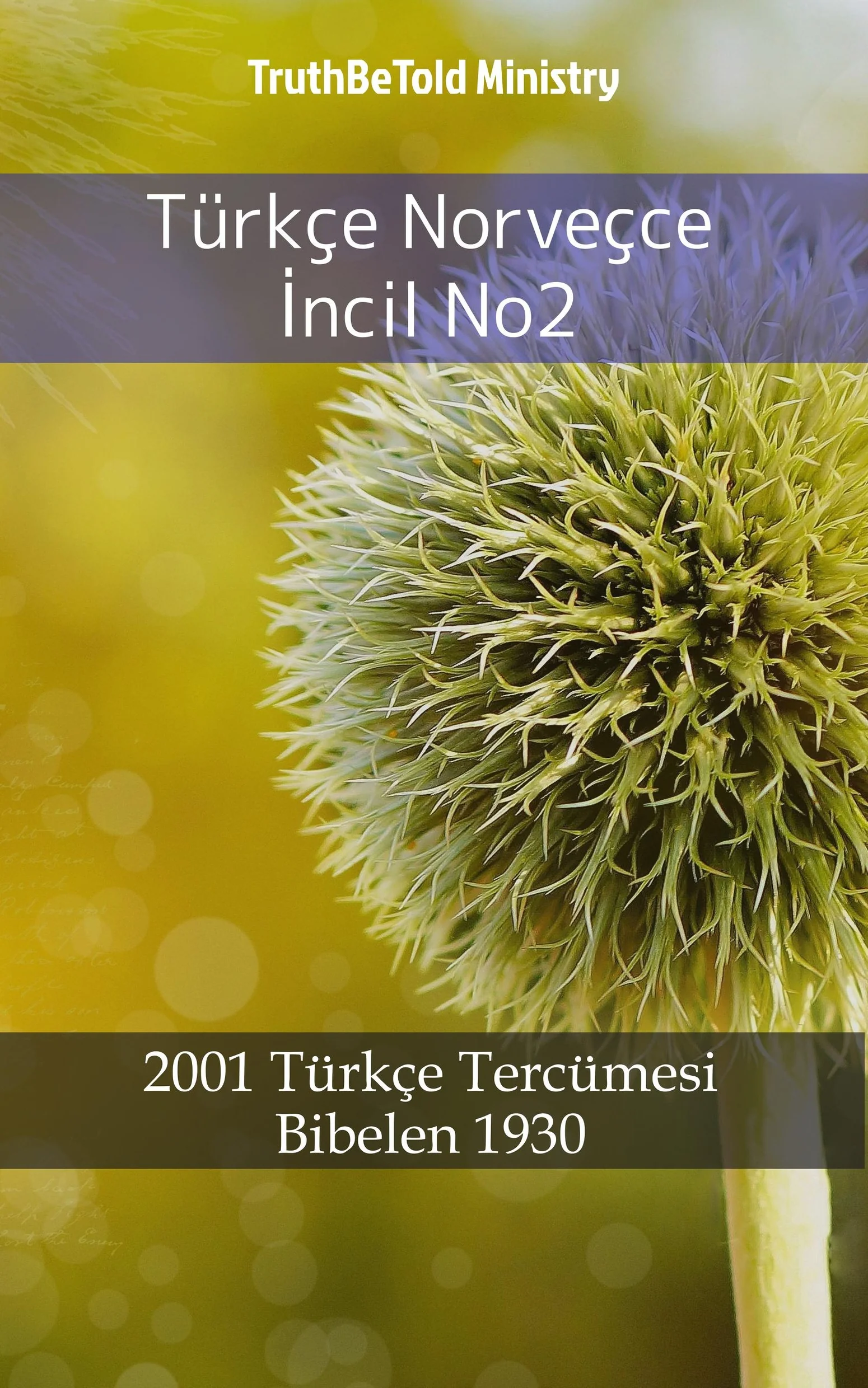 Türkçe Norveçce İncil No2