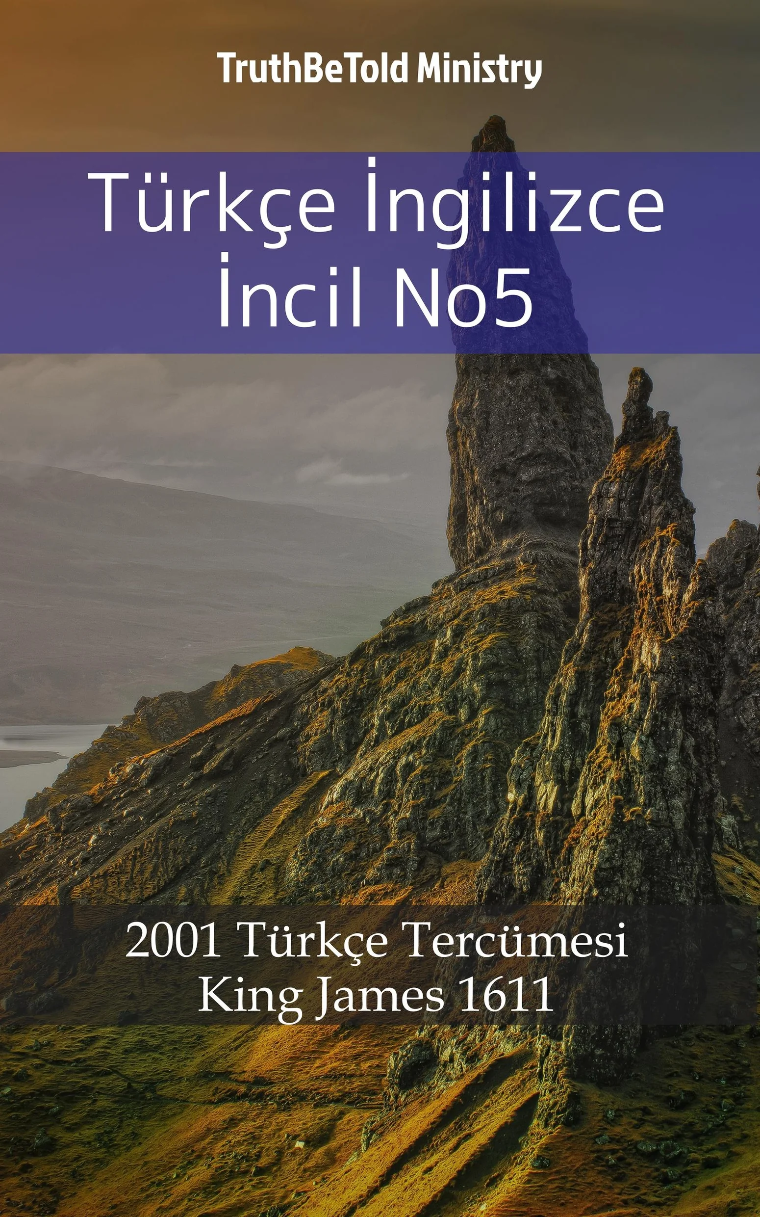 Türkçe İngilizce İncil No5