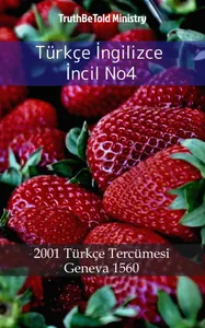 Türkçe İngilizce İncil No4