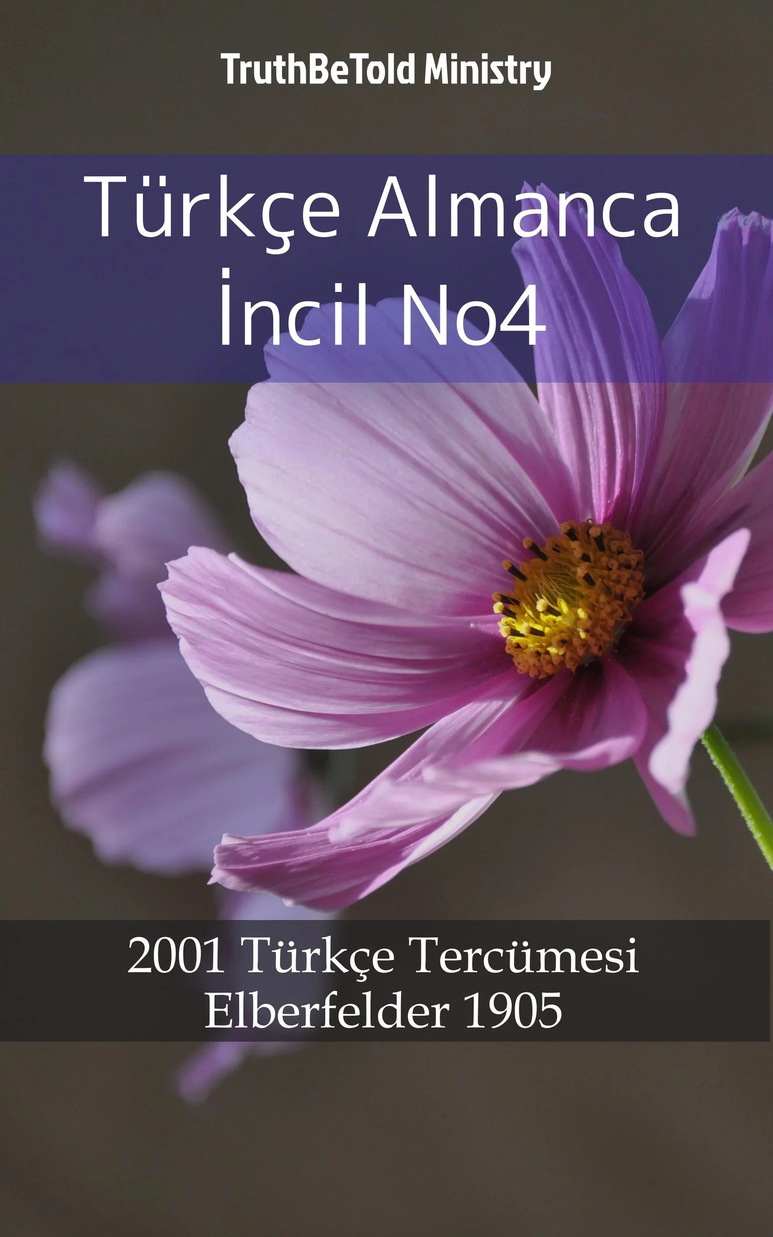 Türkçe Almanca İncil No4