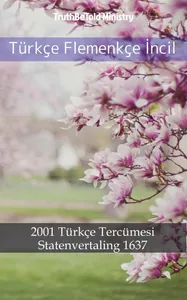 Türkçe Flemenkçe İncil